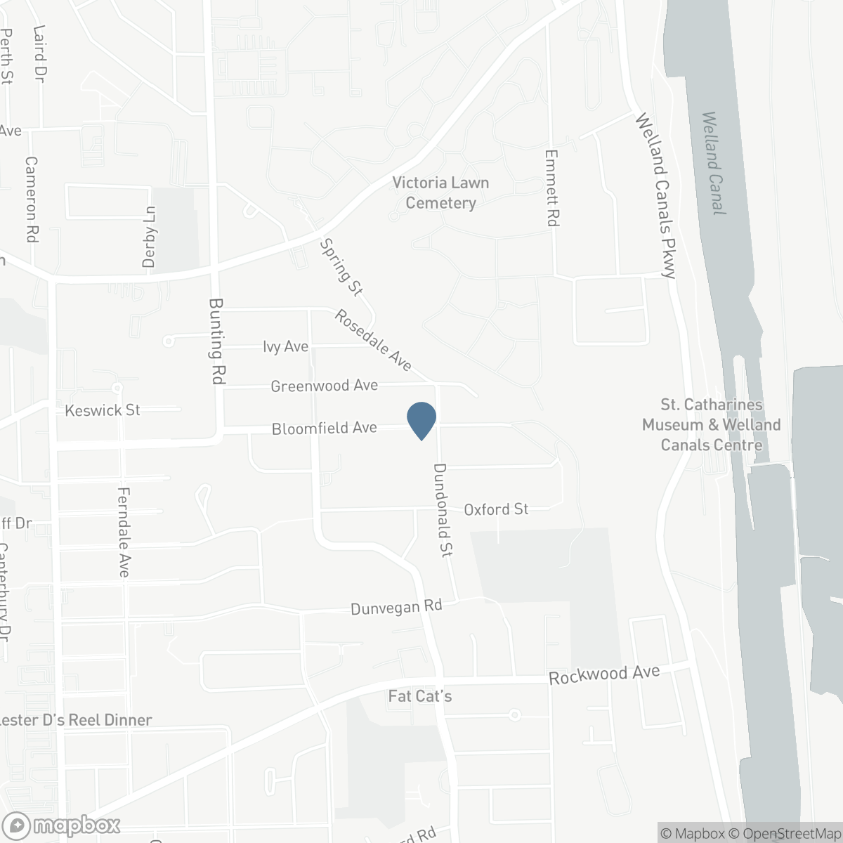 53 BLOOMFIELD AVENUE, St. Catharines, Ontario L2P 1X2